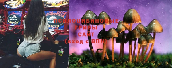 2c-b Красноперекопск
